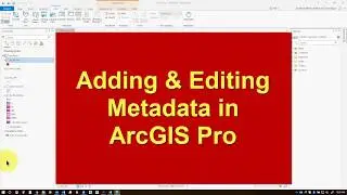 Metadata