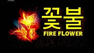 꽃불 / Fire Flower - 가사 + English subs [심규선/Lucia]