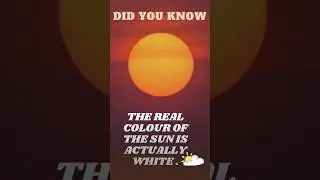 Did you know about the actual color of the sun 😱. #mindblowingfacts #sun #facts #learnwithshorts