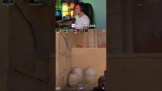 JUMP TO WIN🤣