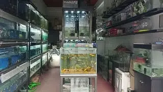 Cochin Aquatics , Vennala