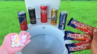 Experiment Toilet CRUNCH PTT Coca Cola Performance Brun Coffi Organics Redbul Crispy And Mentos