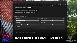 How To Setup Your Brilliance Ai Preferences