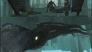 Assassins Creed 2 - What does the Kraken actually look like?