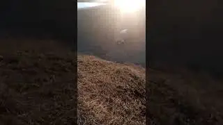Hover H3 покатушки