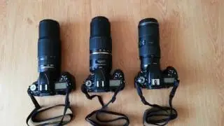 Autofocus Test Nikon 70-300 VR vs Tamron 70-300 VC vs Nikon 70-200 VR F4