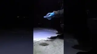 Хороший налимчик 