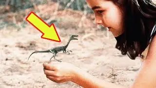 THE SMALLEST DINOSAURS Ever !