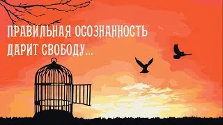 Что нужно знать, чтобы начать правильно практиковать осознанность.