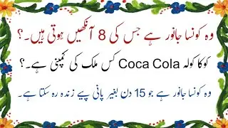 Urdu paheliyan Urdu paheliyan 2023/Common sense questions in urdu 2023/Gk questions and answers 2023