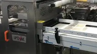 Ohrili Tam Otomatik Tabldot Kase Kapatma Makinesi
