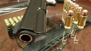 Dan Wesson 1911 Bruin - Dan Wesson 1911 Bruin in .45ACP