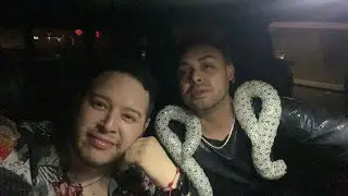 Fuga al Concierto de la Trevi 🙌🏻