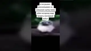 Uzbekiston!