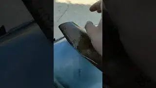 как быстро обновить фары
