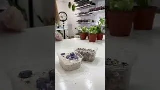Онлайн обучение необычной флористике 