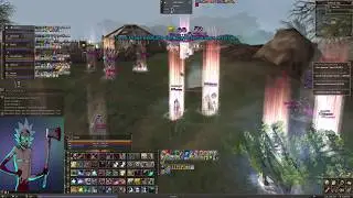 Daily PvPшечки
