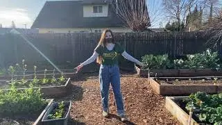 What's Growing in the Garden?  Broccoli Adventures