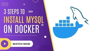 How to Install the MySQL in Docker Container?