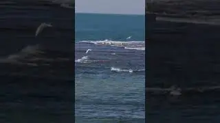 Утро раннее  на море 🌊