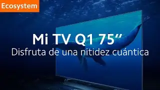 Mi TV Q1 75