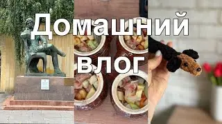 Насыщенный влог//Гуляем//Готовлю//Покупки//Болтаю