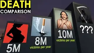 3D COMPARISON: How Many People Die in a Year?