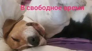 В свободное время спим или плетем из бисера?