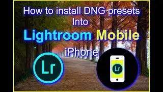 How to Install DNG Presets into Lightroom Mobile | iPhone