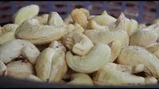 เม็ดมะม่วงหิมพานต์