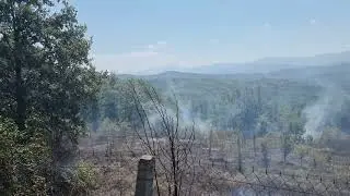 Zjarr në Fshatin Kodër Rrëshen Mirditë,  Falë Ndërhyrjes të Zjarrfikëseve të Mirditës Zjarri u Shua.
