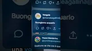 I PESCI hanno Bisogno di un SOCIAL?