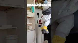 когда муж с утра сходил по грибы, значит будет что? #shorts ГРИБОВНИЦА