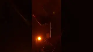 Саморазвитие