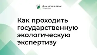 Как проходить государственную экологическую экспертизу для обезвреживания и размещение отходов