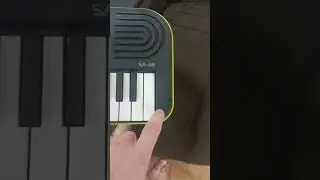 3 ноября 2023 г.
