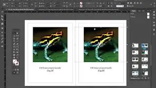 Indesign: Image Fitting