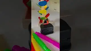 🦜Toothpick Dispenser🦜