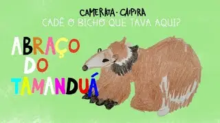 O Abraço do Tamanduá - Camerata Caipira