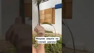 Мощная защита на случай урагана #мексика #канкун #берил