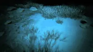 Kholat(Atmospheric Horror Game): High Settings 860m Graphics Card