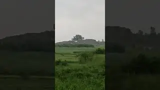 varshat 🌧️kai dino me #nature #rainyday #sawan #wildlife #shots