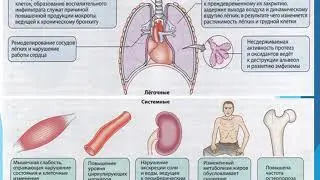 Дифференциальная диагностика заболеваний, проявляющихся бронхообструктивным синдромом
