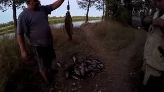 Рыбалка на Ахтубе с.Золотуха часть 3.