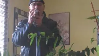 Le Daron chante DERRIERE L'AMOUR. Johnny HALLYDAY
