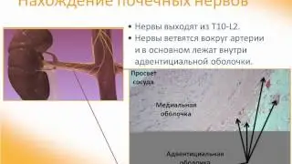 Лекция Игоря Зырянова