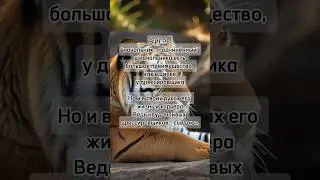 реальная жизнь, она такая #мудрыеслова #цитаты #словасосмыслом #рекомендации #жизнь #работа #юмор