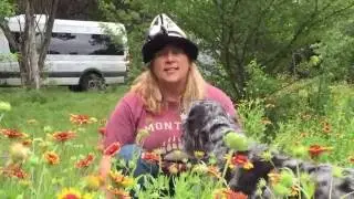 Write Away with Susan Gibson EP6: Write It Down!