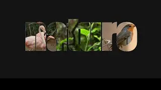 How to make a 3d intro on Android (kinemaster) [Dr.sci]