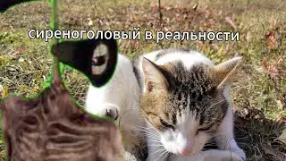 дусика преследует сиреноголовый?